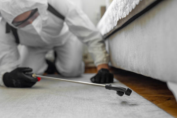 Professional Pest Control technician working in Westminster, TX